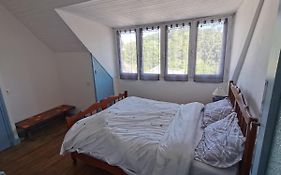 Mignon appartement sous les toits